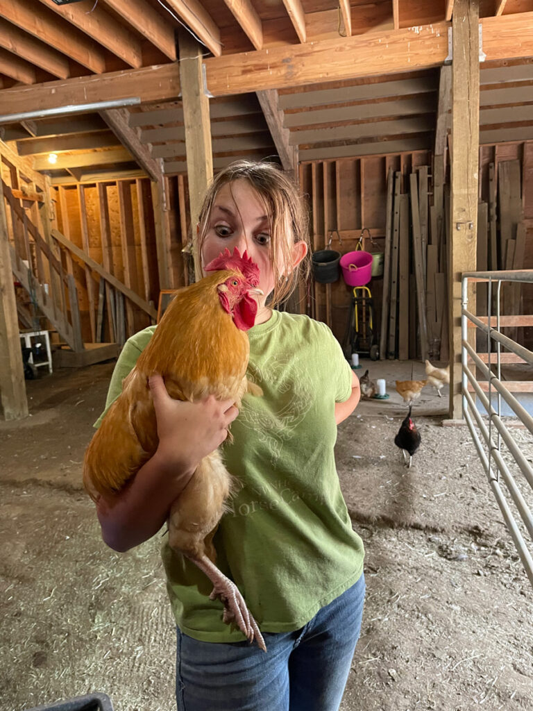 girl holding a chicken inside of a horse barn