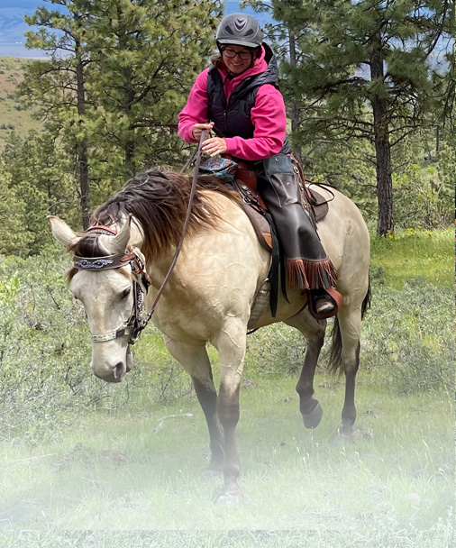 bitless horse training to make horse and human become better partners - Susann training a quarterhorse